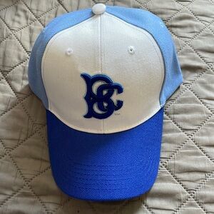 Brooklyn Cyclones embroidered SnapBack hat